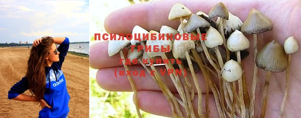 PSILOCYBIN Алексин