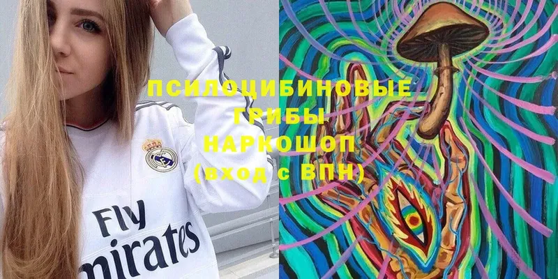 OMG ССЫЛКА  Асино  Галлюциногенные грибы мицелий  где купить  